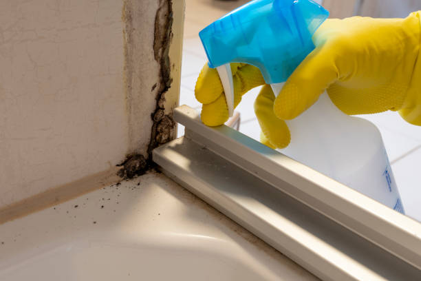 Best Environmental Consulting for Mold Prevention  in Rothschild, WI